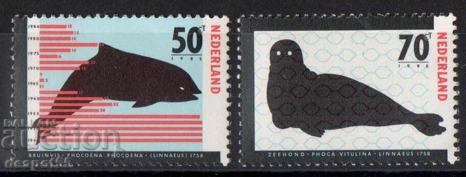 1985. The Netherlands. Endangered animals. 1985. The Netherlands. Endangered animals.