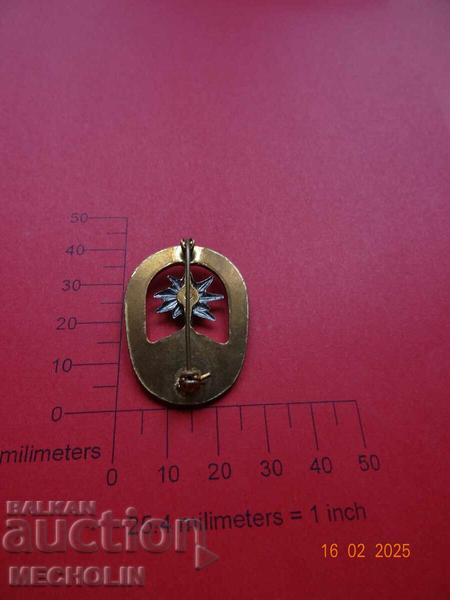 Auction GERMAN TOURIST BADGE Auction GERMAN TOURIST BADGE