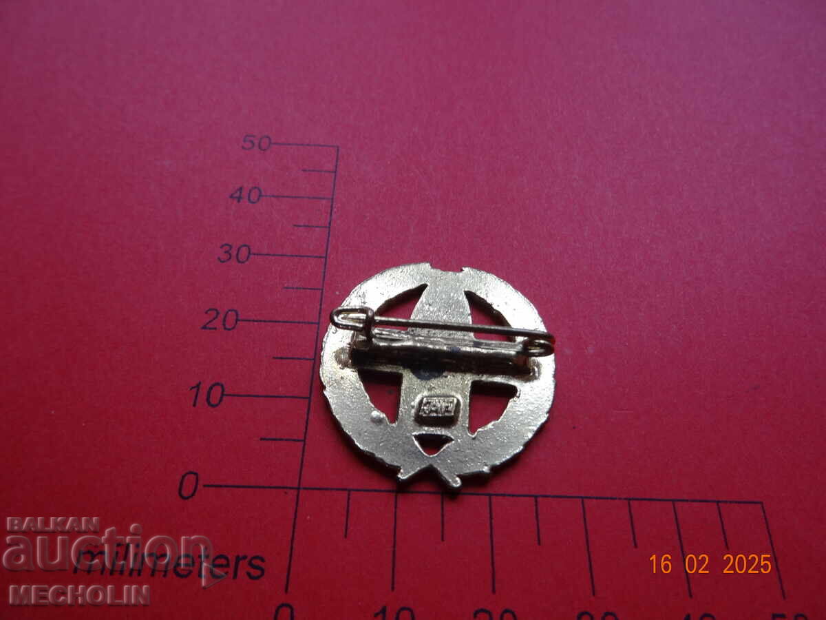 Delivery of GERMAN BADGE Delivery of GERMAN BADGE