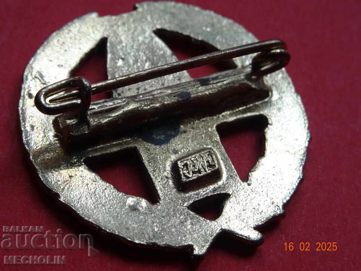 GERMAN BADGE - 6 GERMAN BADGE - 6