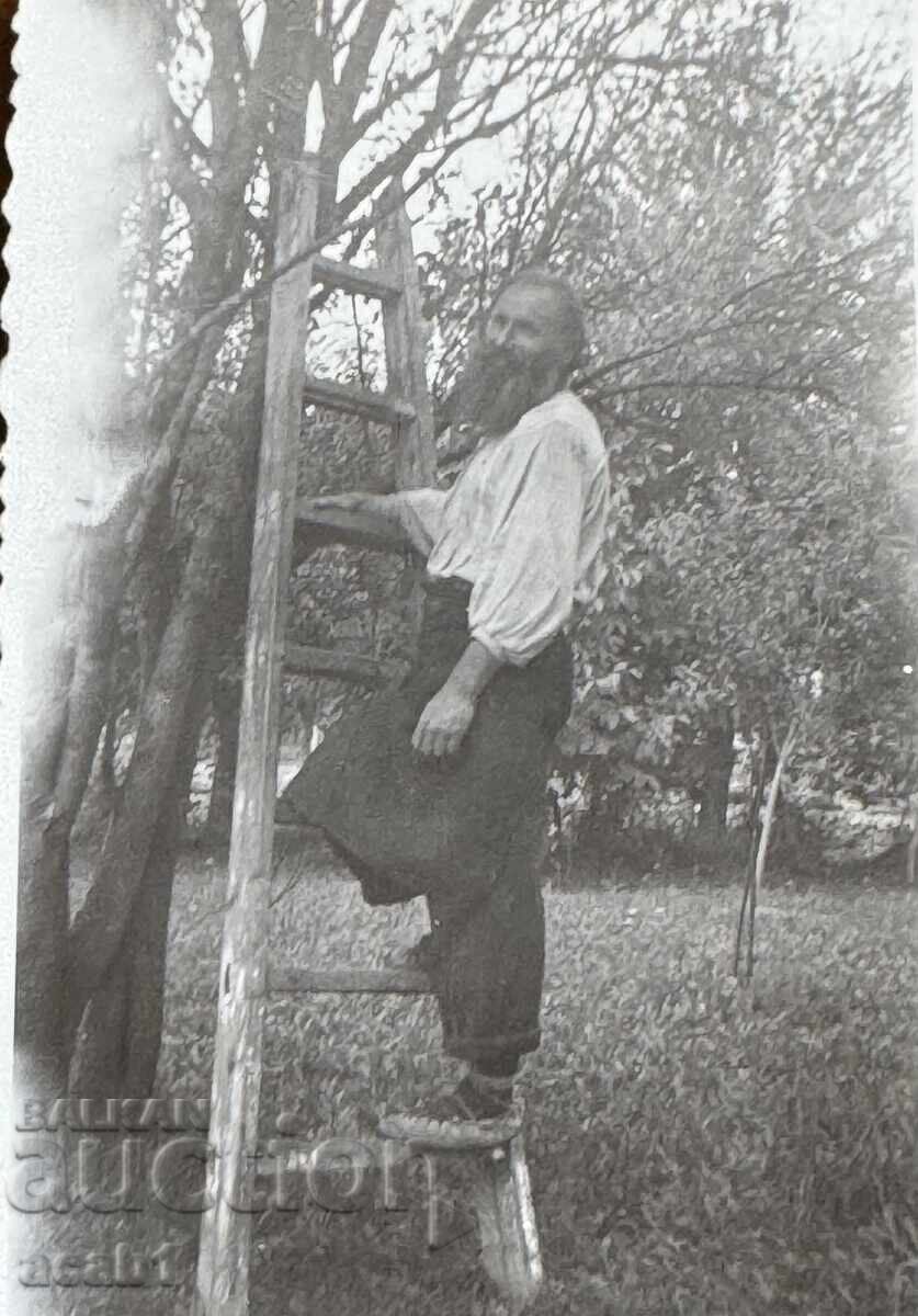 Delivery of Grandpa Pop in the yard