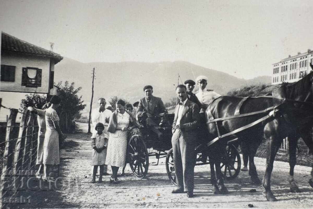 Dobrudja Camel Walk with price 21.99 BGN | € 11.24