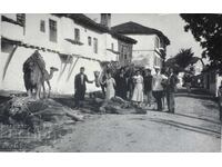 Dobrudja Camel Walk