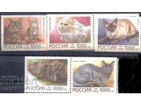 Pure Stamps Fauna Cats 1996 από τη Ρωσία