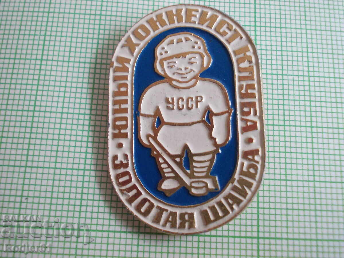 Livrarea insigne - sport - sporturi de iarna 5 buc Livrarea insigne - sport - sporturi de iarna 5 buc