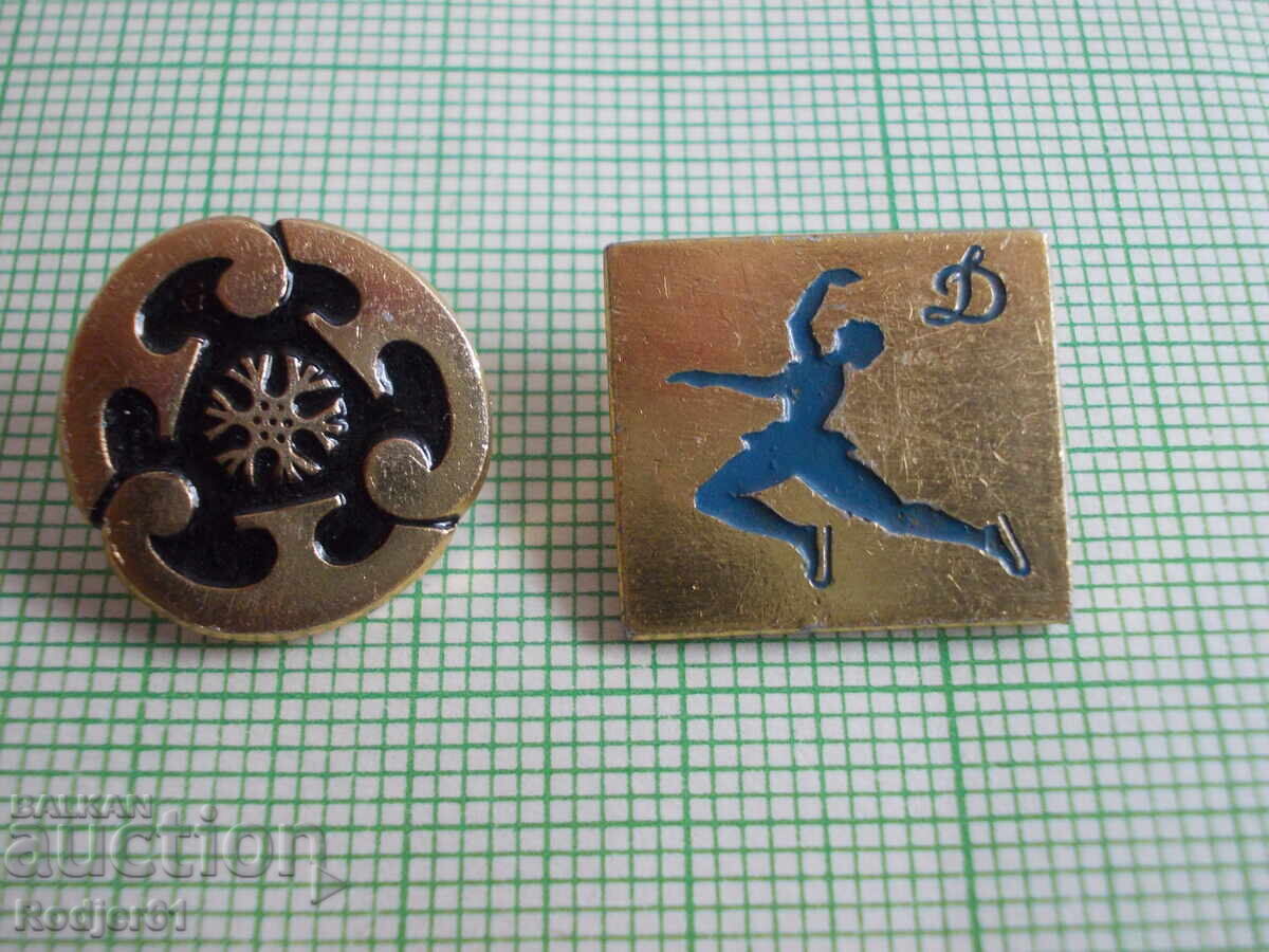 insigne - sport - sporturi de iarna 5 buc - 5 insigne - sport - sporturi de iarna 5 buc - 5