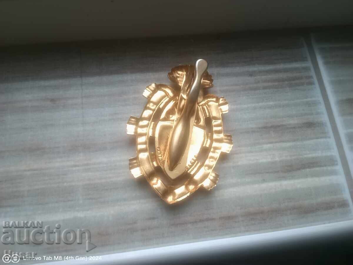 Livrarea Insigna de membru al Consiliului de la Paris, rară