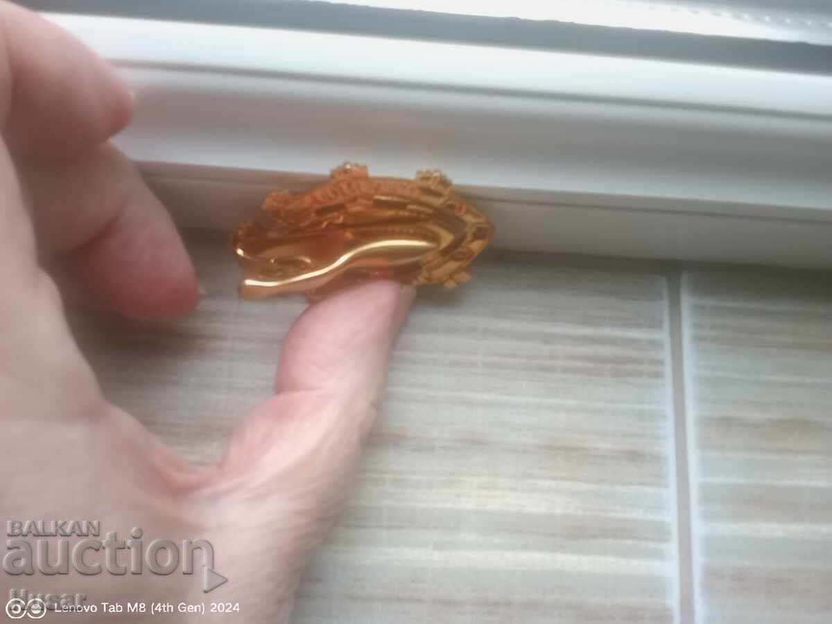 Insigna de membru al Consiliului de la Paris, rară - 5