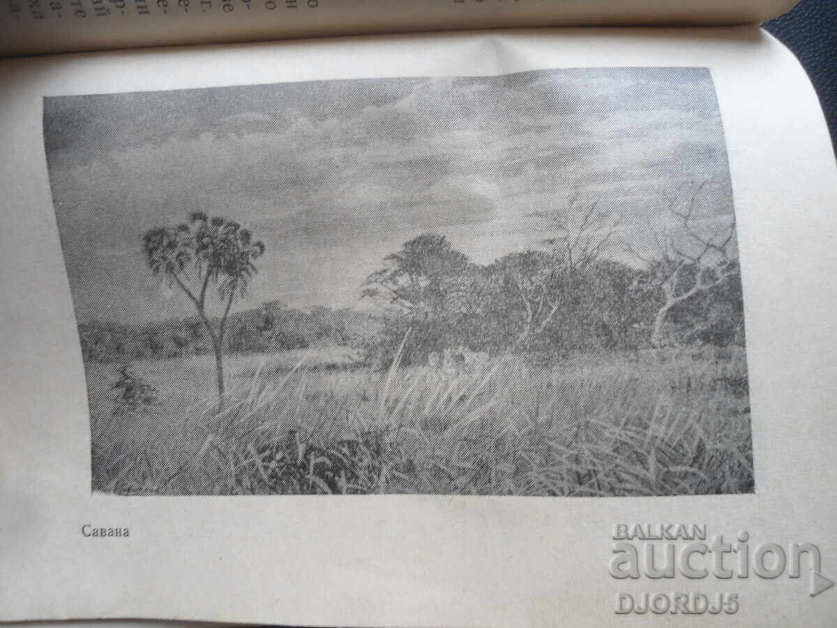 Доставка на Разходка в атмосферата Доставка на Разходка в атмосферата