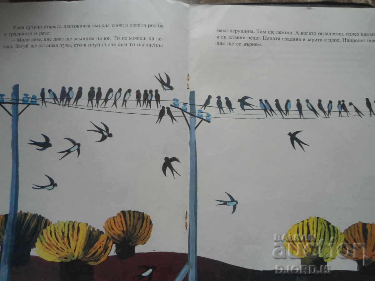 Delivery of Mother's Tear, Angel Karaliychev Delivery of Mother's Tear, Angel Karaliychev