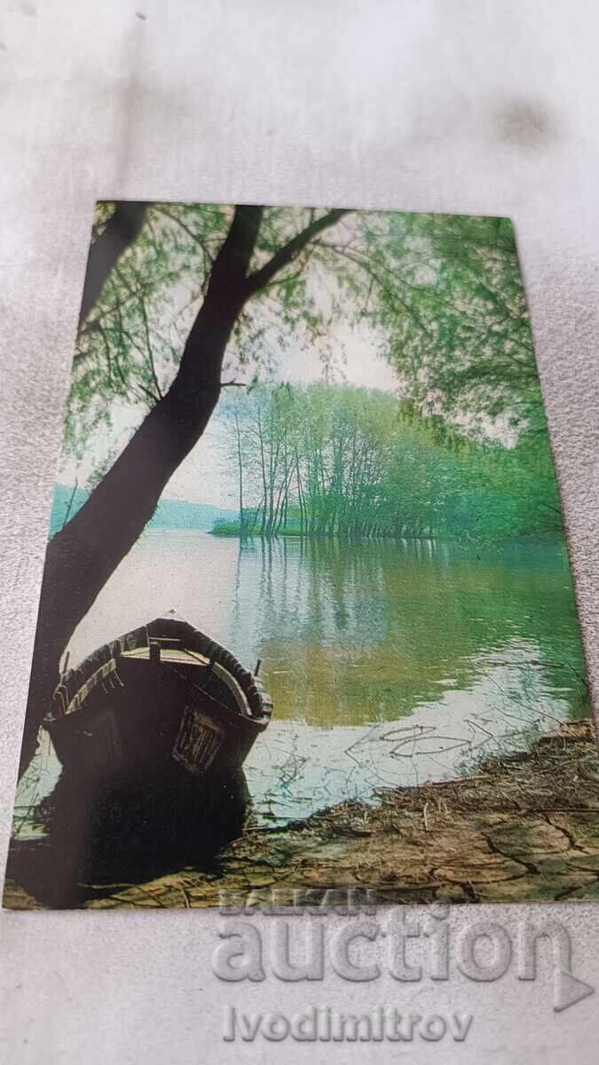 P K Oryahovo Danube River near Esperanto Island 1974 P K Oryahovo Danube River near Esperanto Island 1974