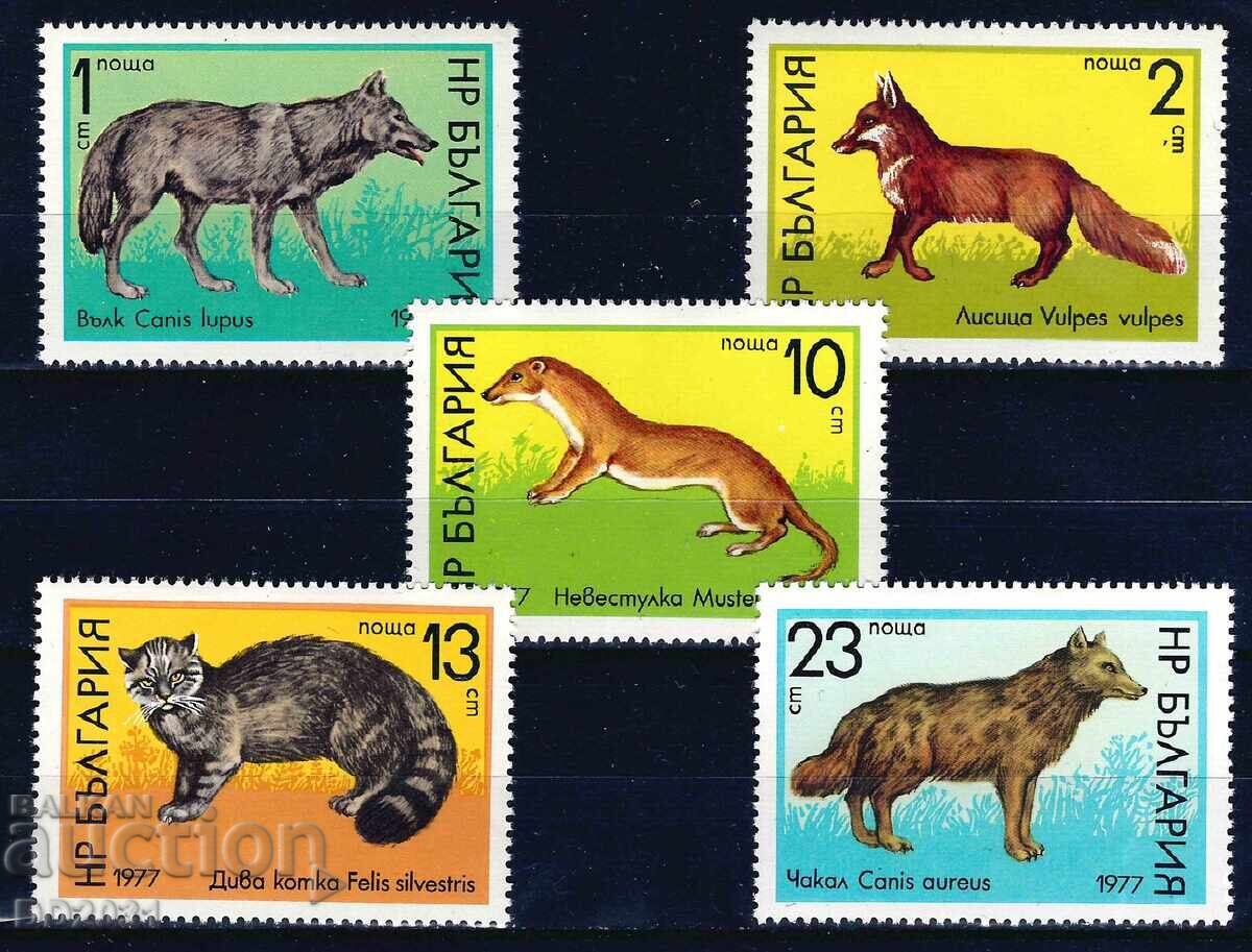 Βουλγαρία 1977 - πανίδα MNH Βουλγαρία 1977 - πανίδα MNH