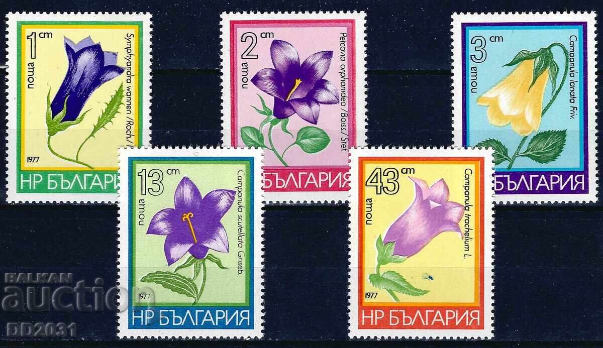 Bulgaria 1977 - flowers MNH Bulgaria 1977 - flowers MNH