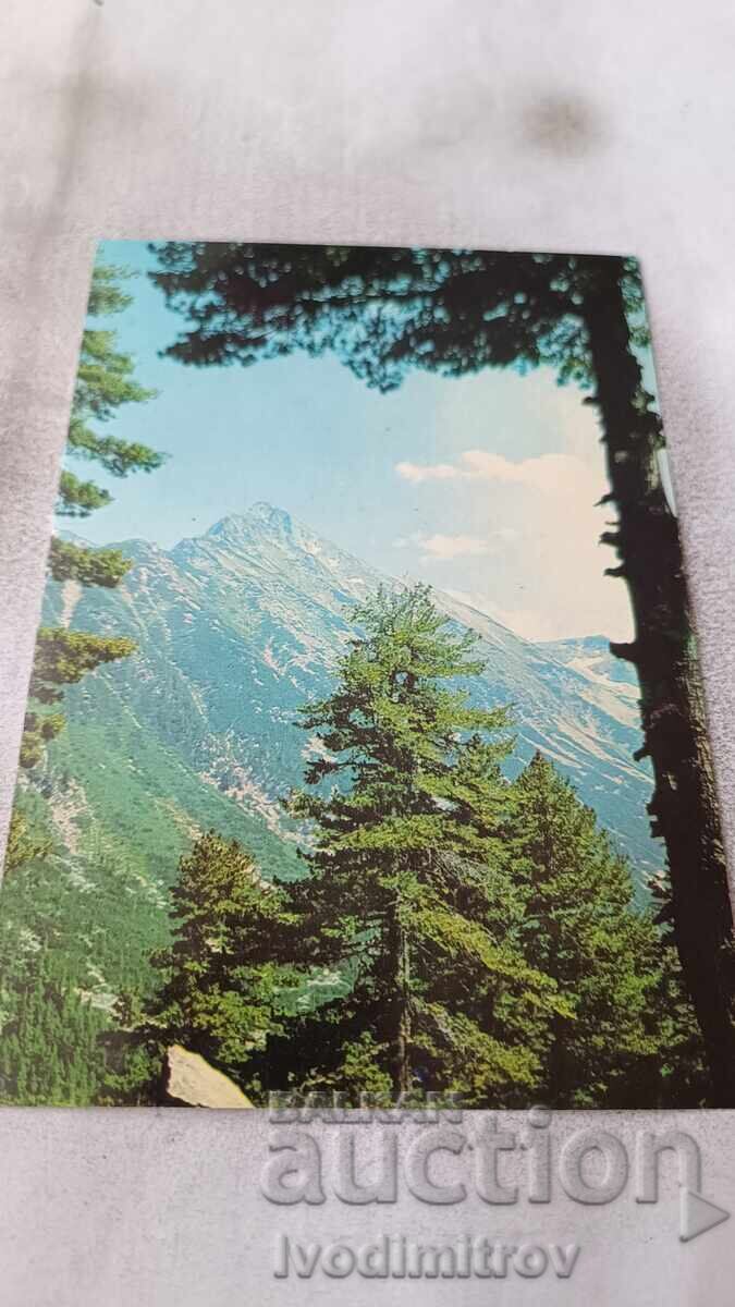 Postcard Pirin Peak Gazei 1974 Postcard Pirin Peak Gazei 1974