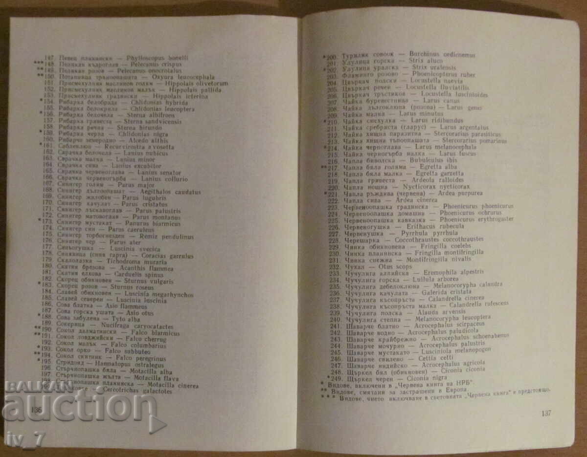 Protected birds in Bulgaria - Tanyu Michev, Nikola Raykov - 5 Protected birds in Bulgaria - Tanyu Michev, Nikola Raykov - 5