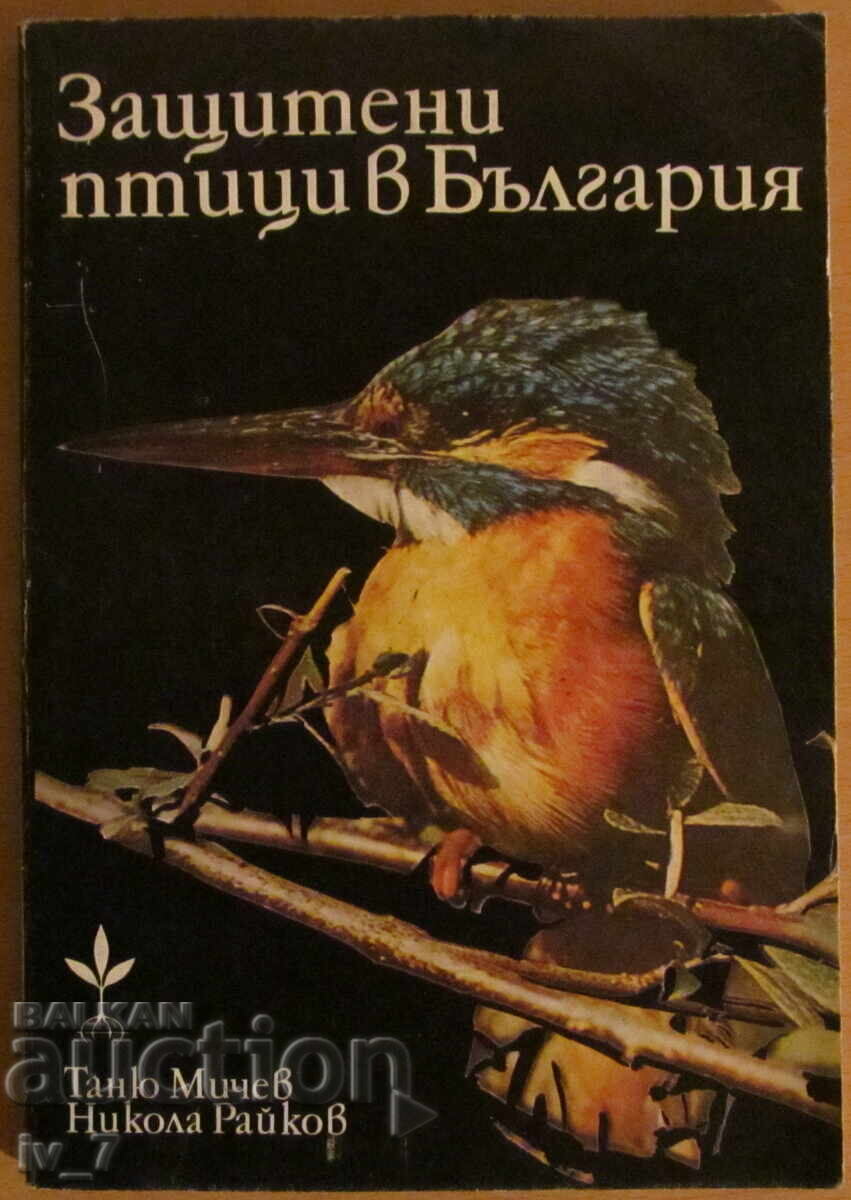 Protected birds in Bulgaria - Tanyu Michev, Nikola Raykov Protected birds in Bulgaria - Tanyu Michev, Nikola Raykov