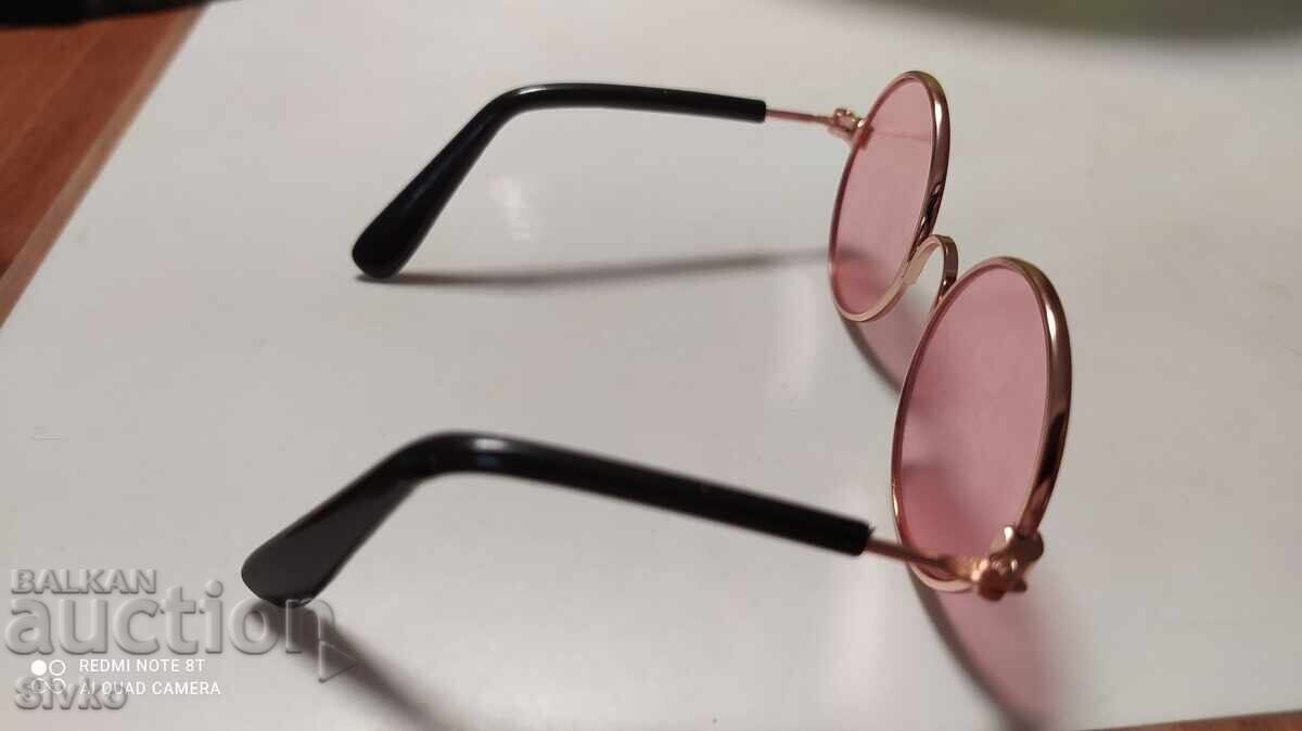 Licitație Ochelari de soare pentru un câine mic