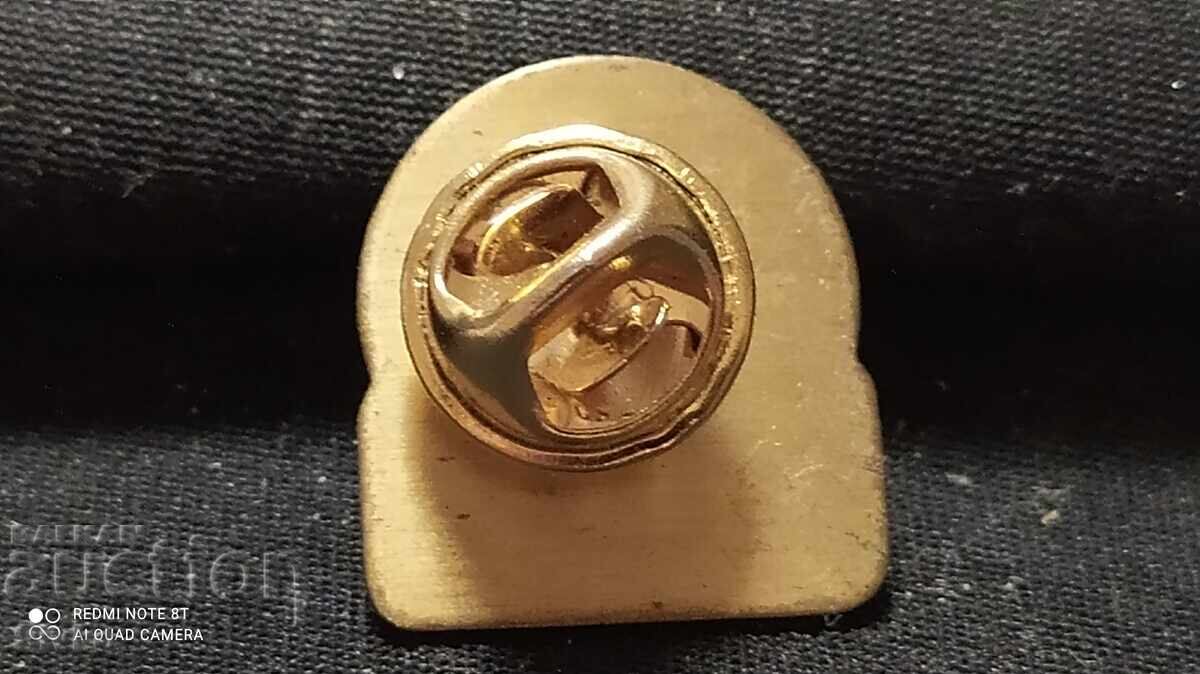 Licitație Insigna de serviciu de vară