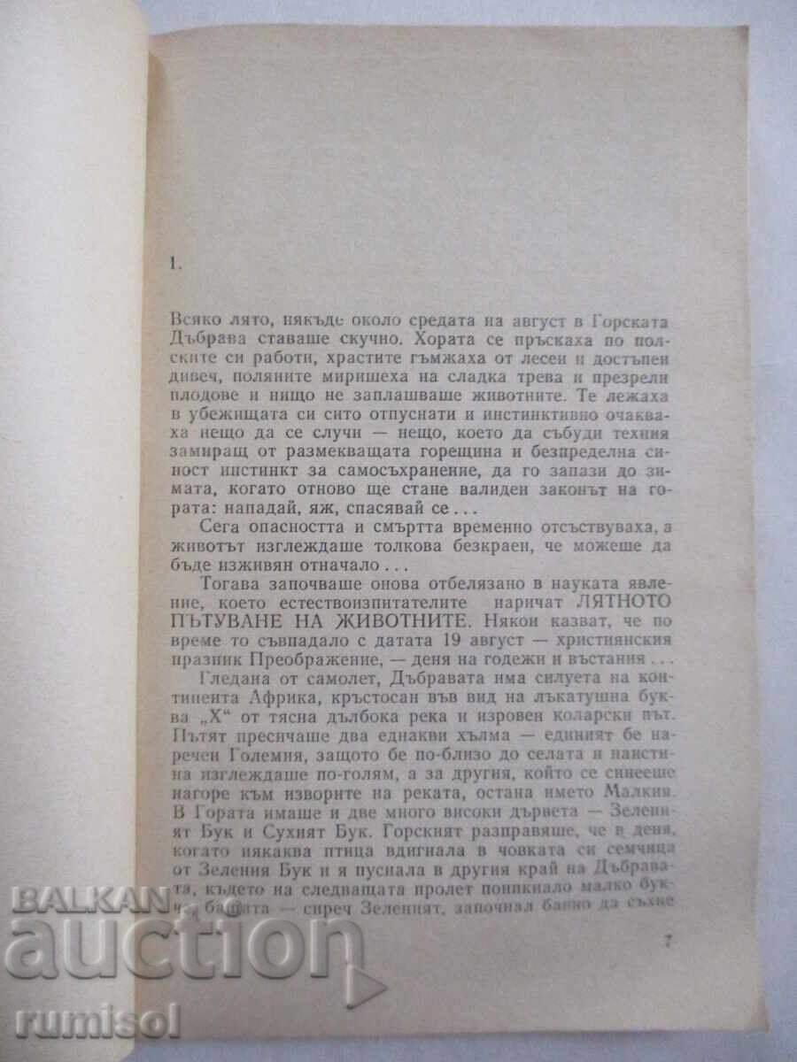 Auction I love you wolf! - Neda Antonova Auction I love you wolf! - Neda Antonova