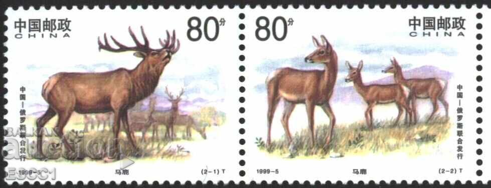 Καθαρά γραμματόσημα Πανίδα Ελένη 1999 από Κίνα Καθαρά γραμματόσημα Πανίδα Ελένη 1999 από Κίνα