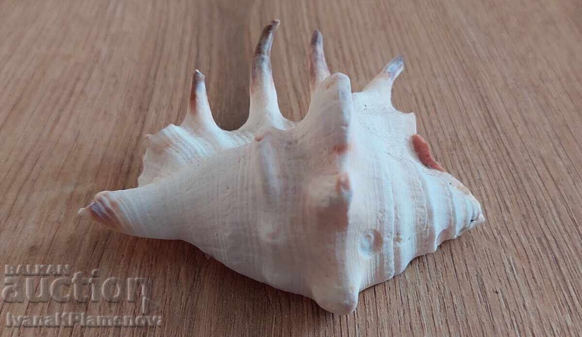 Παράδοση Ένας νεροχύτης για τους γνώστες