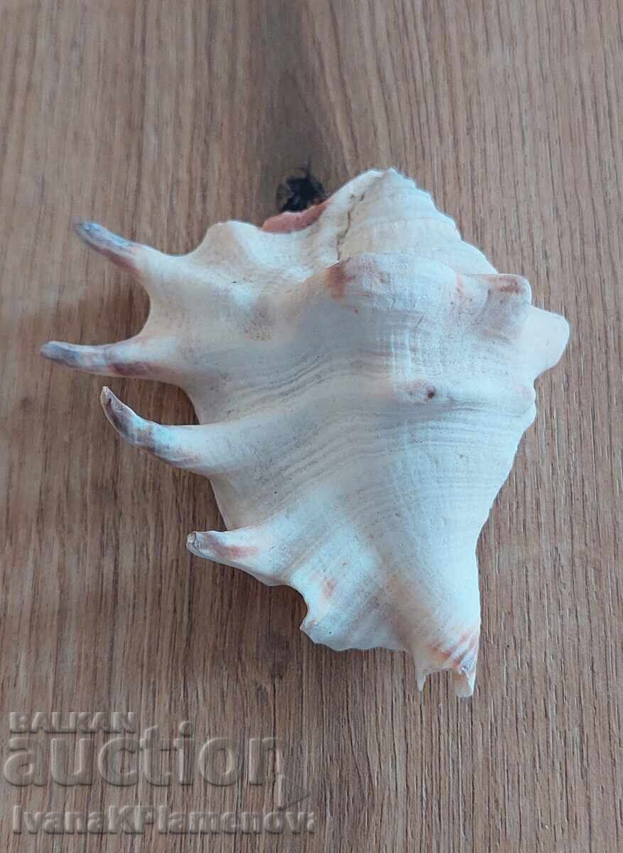 Ένας νεροχύτης για τους γνώστες - 5