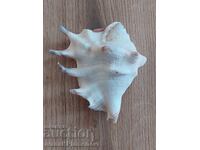 Ένας νεροχύτης για τους γνώστες