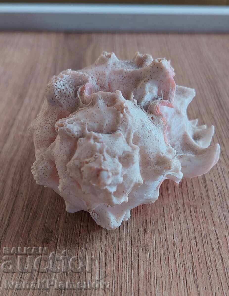 Δημοπρασία Ένας νεροχύτης για τους γνώστες Δημοπρασία Ένας νεροχύτης για τους γνώστες