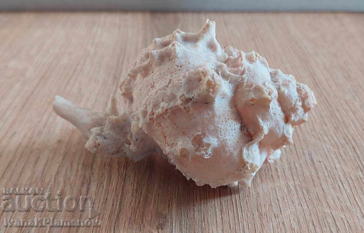 Παράδοση Ένας νεροχύτης για τους γνώστες Παράδοση Ένας νεροχύτης για τους γνώστες