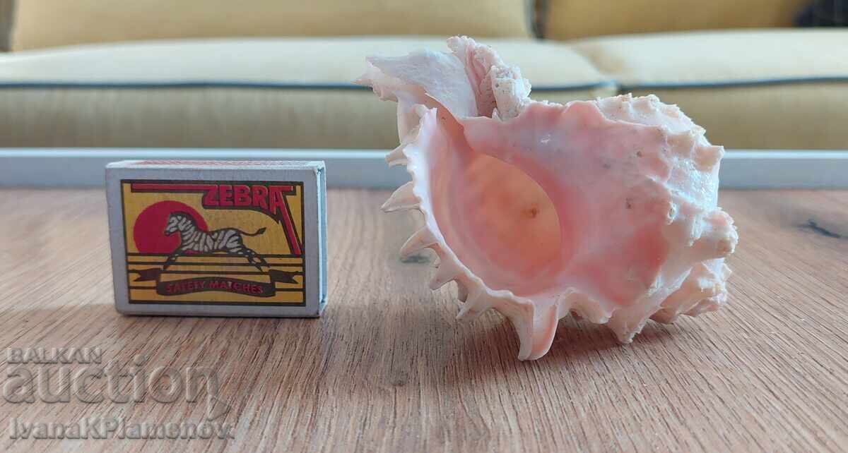 Ένας νεροχύτης για τους γνώστες - 6 Ένας νεροχύτης για τους γνώστες - 6