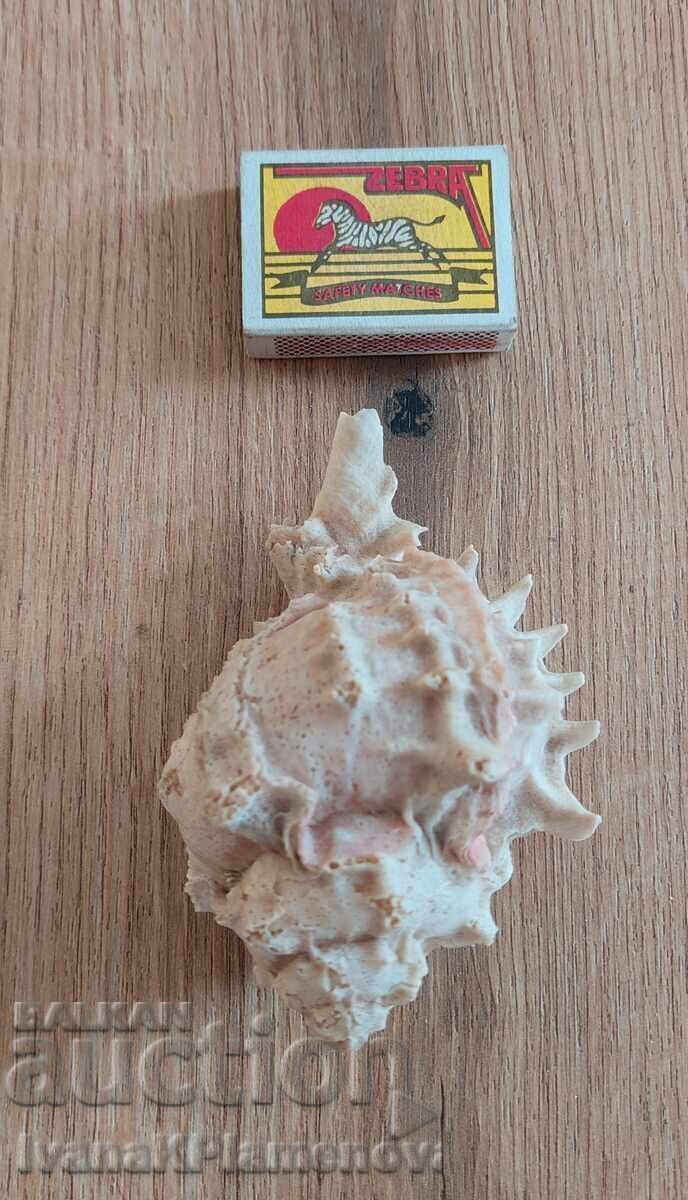 Ένας νεροχύτης για τους γνώστες - 7 Ένας νεροχύτης για τους γνώστες - 7