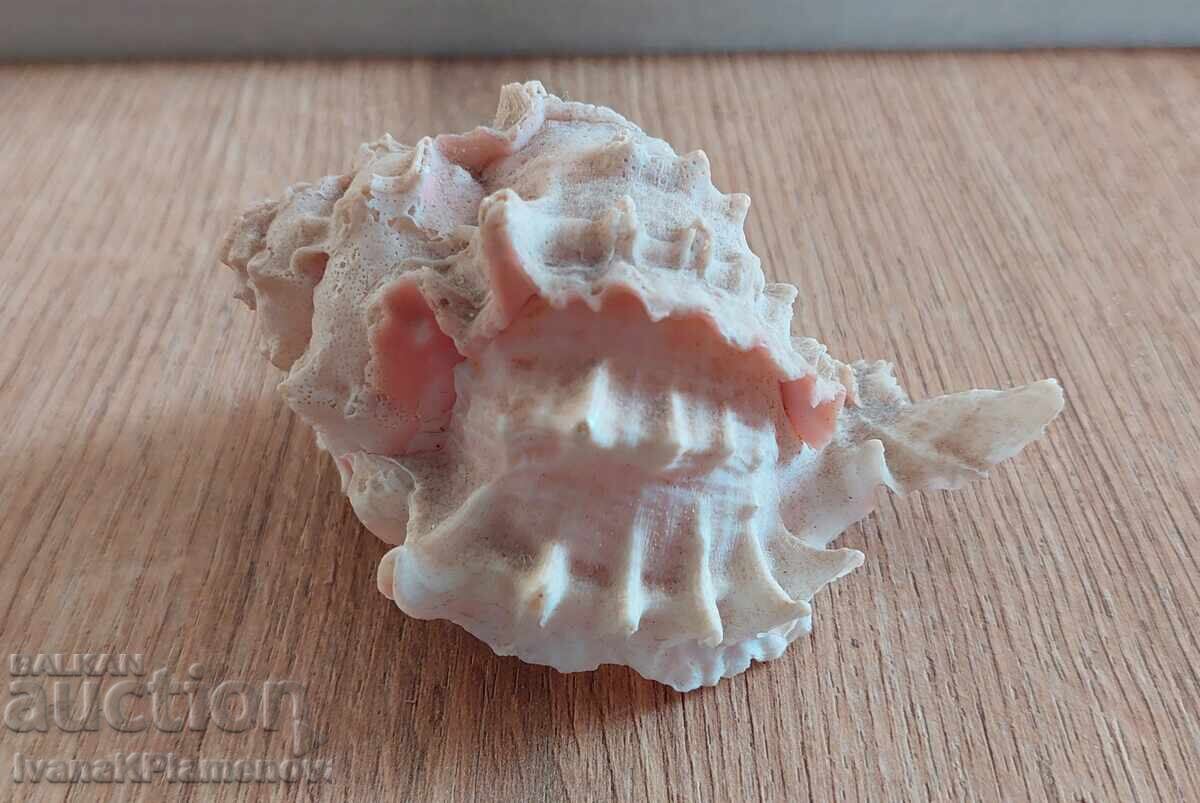 Ένας νεροχύτης για τους γνώστες Ένας νεροχύτης για τους γνώστες