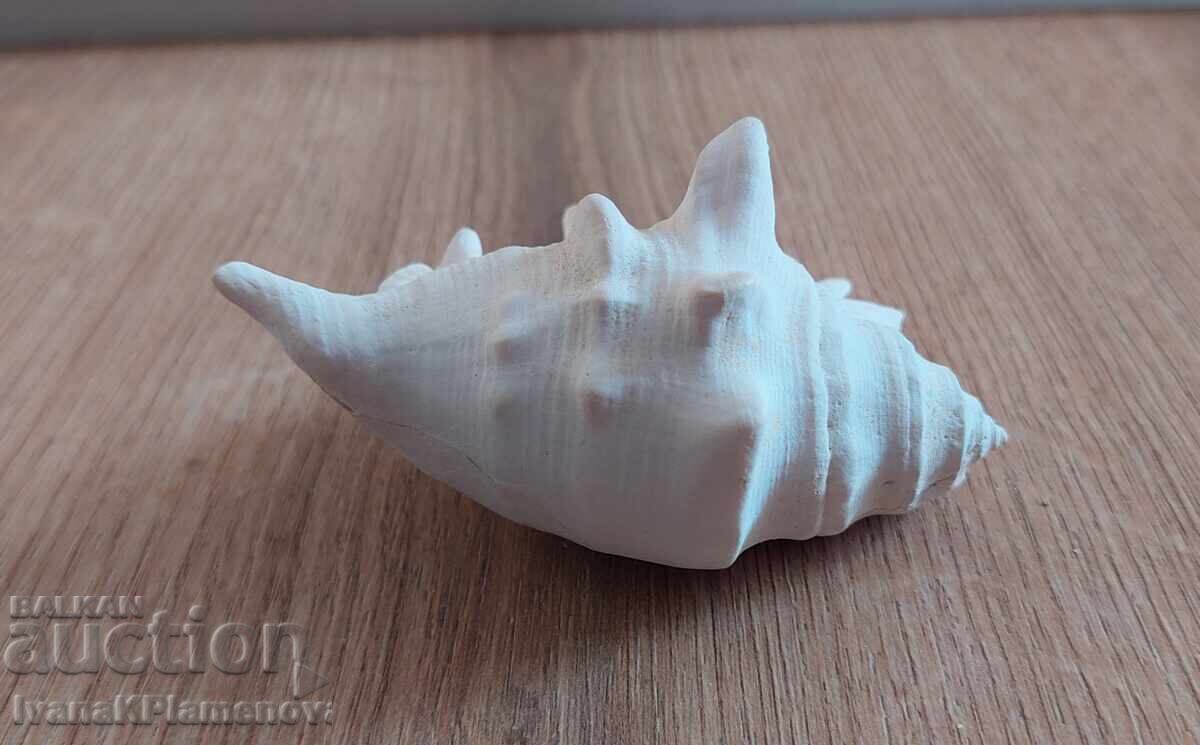 Delivery of A sink for connoisseurs