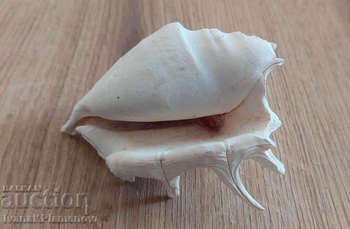 A sink for connoisseurs - 5