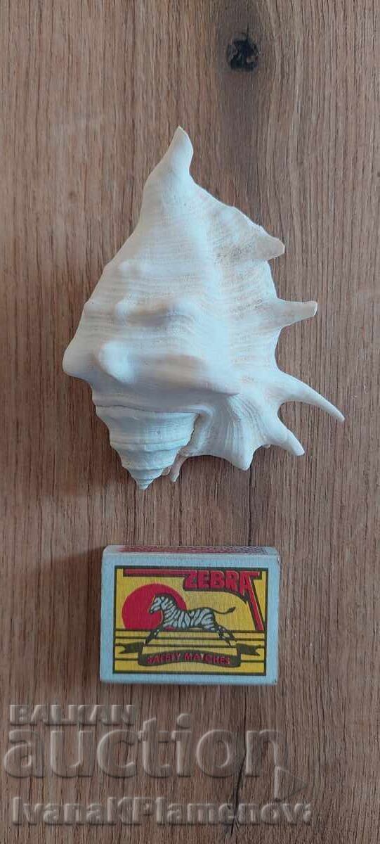 A sink for connoisseurs - 6