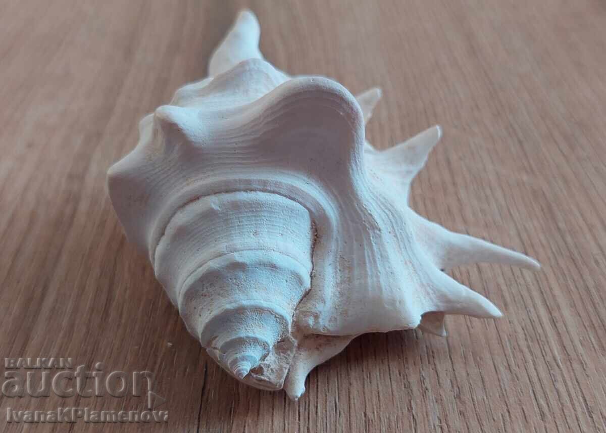 A sink for connoisseurs - 7