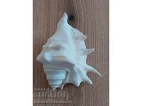 O chiuvetă pentru cunoscători