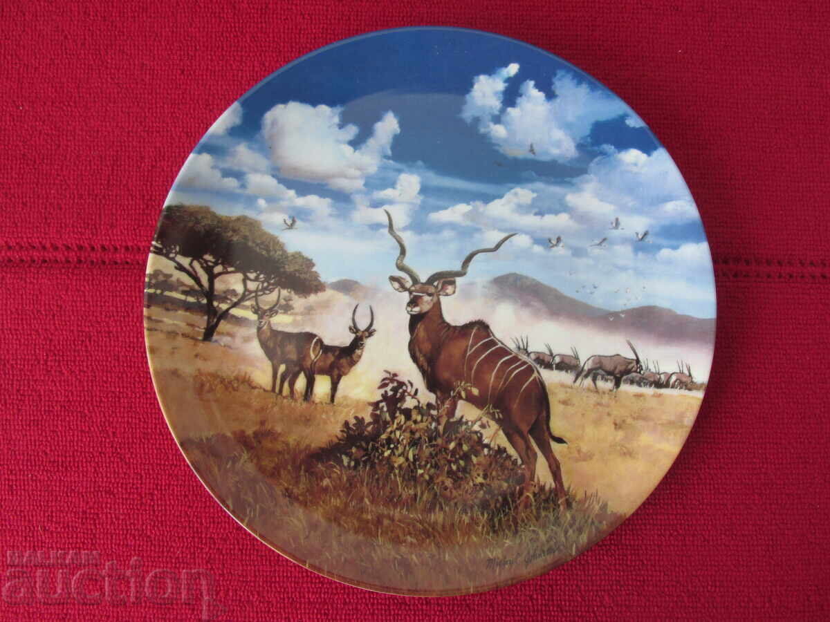 Wall plate, decor, collection Wall plate, decor, collection