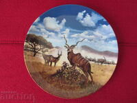 Wall plate, decor, collection