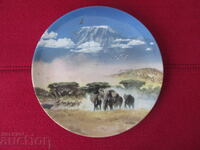 Wall plate, decor, collection