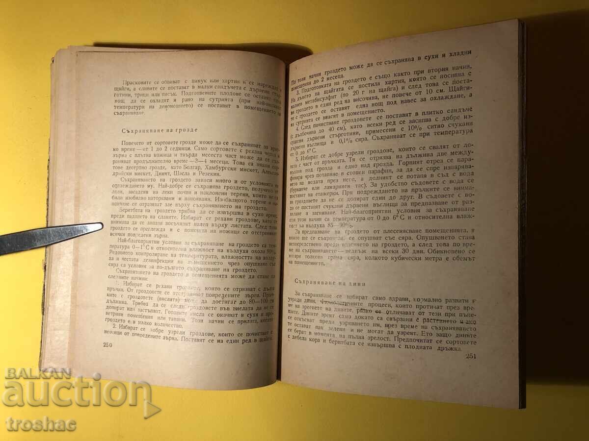 Delivery of Old Book Home Canning / Todor Hadzhiyski Delivery of Old Book Home Canning / Todor Hadzhiyski
