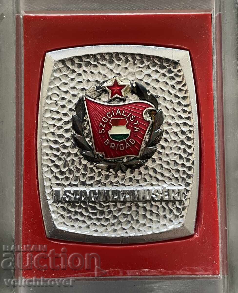 40187 Hungary plaque for participation in a youth socialist movement with price 10.00 BGN | € 5.11