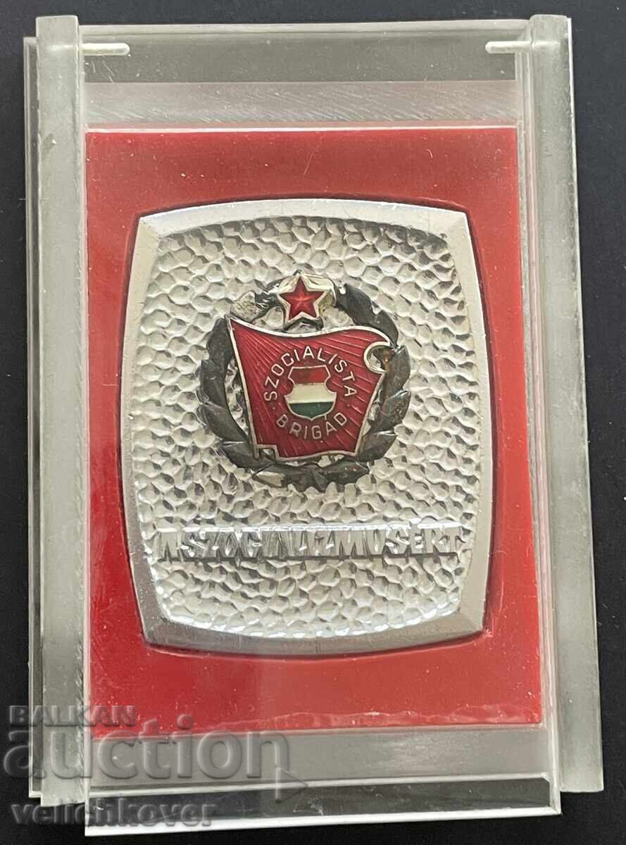 40187 Hungary plaque for participation in a youth socialist movement