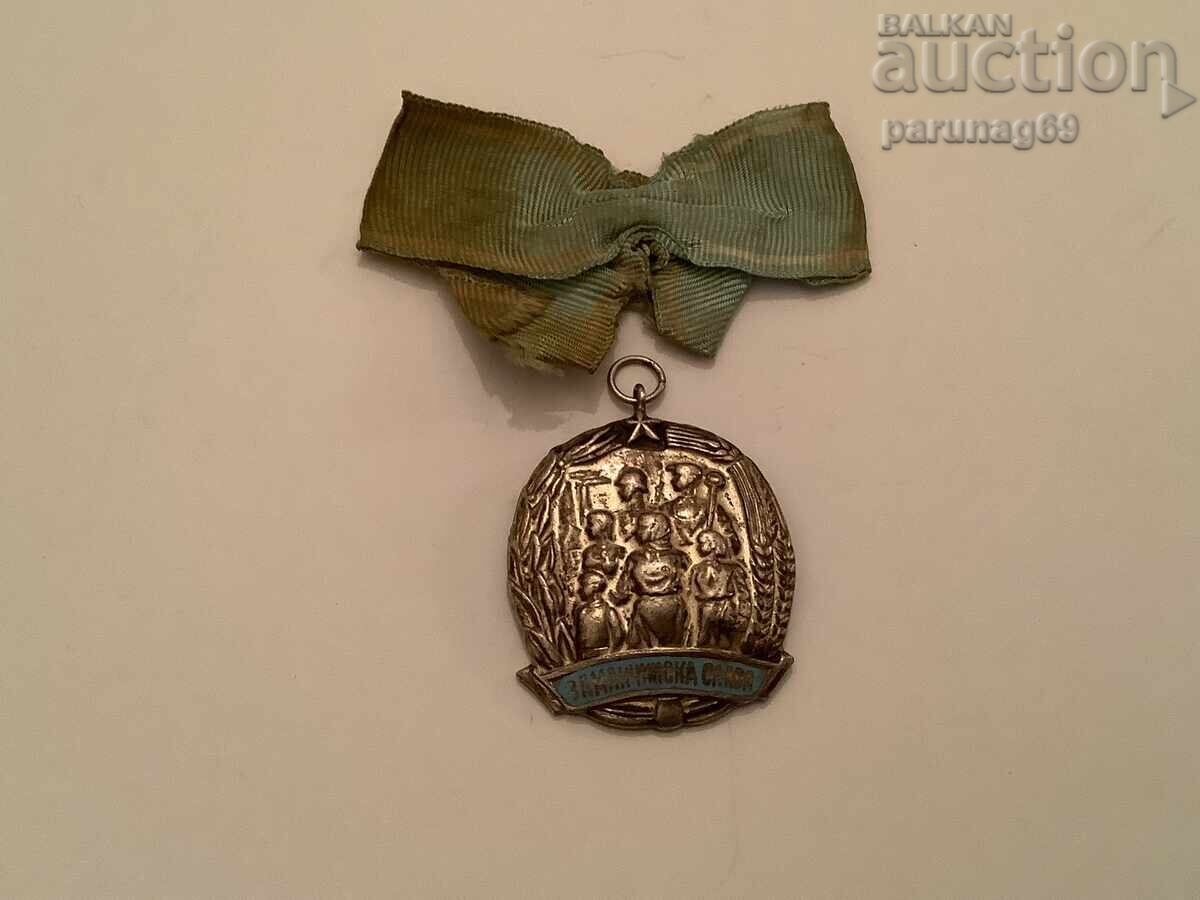 Τάγμα «Για τη Μητρική Δόξα» 2ου βαθμού Τάγμα «Για τη Μητρική Δόξα» 2ου βαθμού