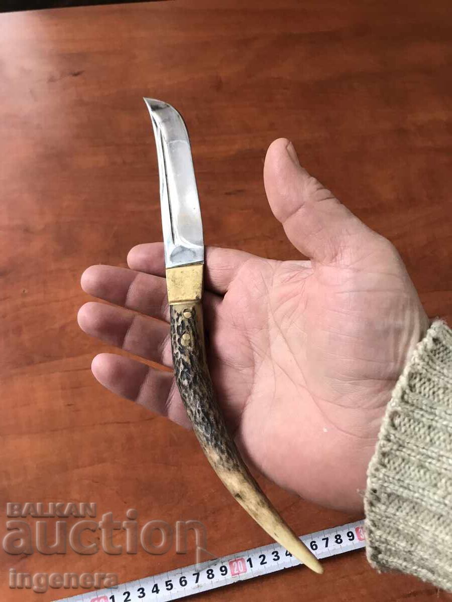 KNIFE BLADE ANTIQUE HORN - 5 KNIFE BLADE ANTIQUE HORN - 5