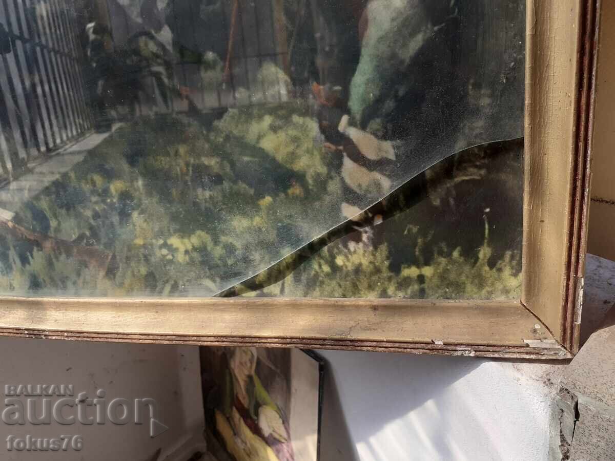 Livrarea Afiș foto litografie pictură veche Hristo Botev