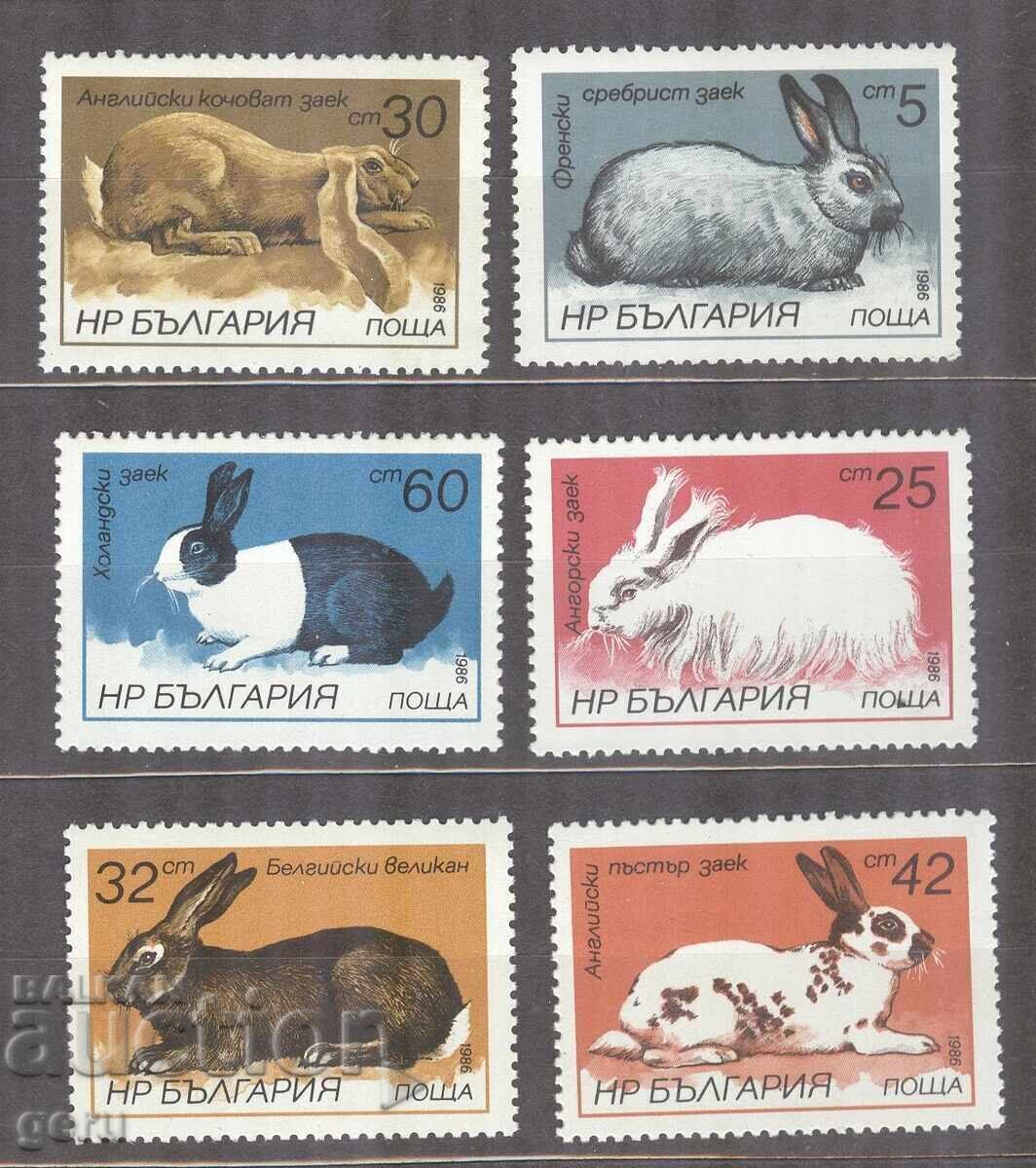 BULGARIA 1986 3488/93 482 1 BULGARIA 1986 3488/93 482 1
