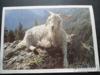 Calendar vechi, 1990