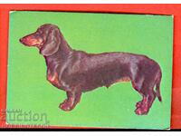 CALENDAR - DACHSHUND - 1987