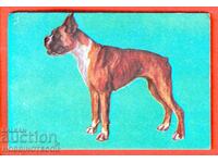 CALENDAR - BOXER - 1987